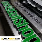 LED LENS GREEN 12V 1.2W